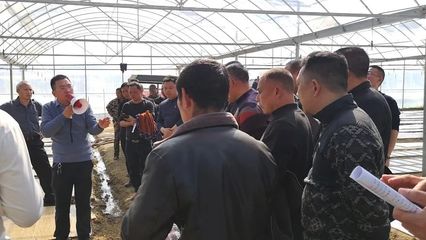 “DMC”技術(shù)在平江首次亮相 開(kāi)啟技術(shù)推廣服務(wù)新篇章